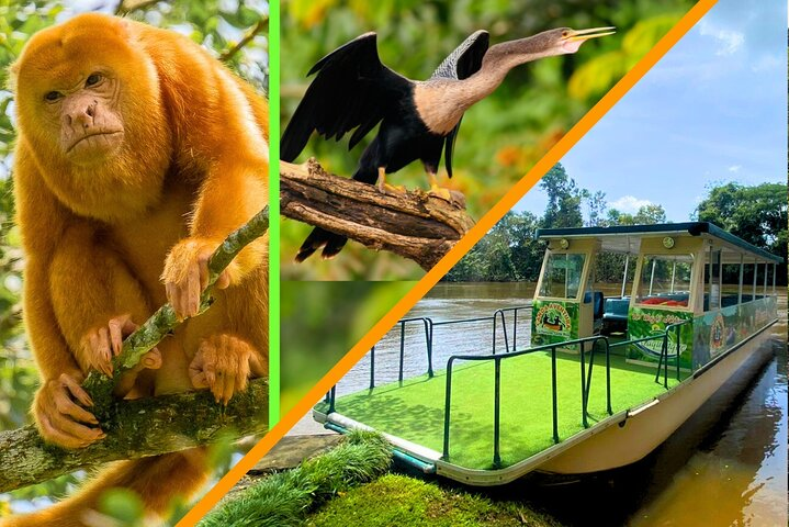 Caño Negro Wildlife Boat Trip Day Tour from La Fortuna - Photo 1 of 25